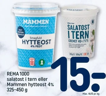 REMA 1000 REMA 1000 salatost i tern eller Mammen hytteost 4% 325-450 g tilbud