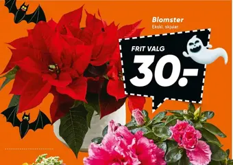 Bilka Ukendt planter tilbud