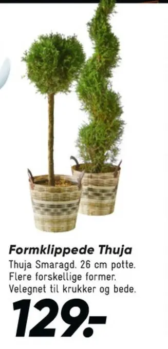 Bilka Ukendt planter tilbud