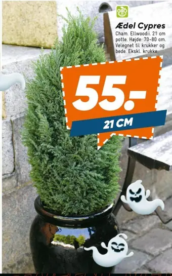 Bilka Ukendt planter tilbud