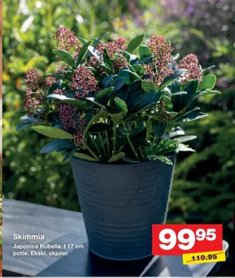 Bauhaus Ukendt planter tilbud