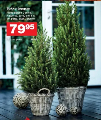Bauhaus Ukendt planter tilbud