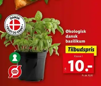 Let-Køb Økologisk dansk basilikum tilbud