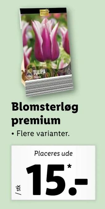 Let-Køb Blomsterløg premium tilbud