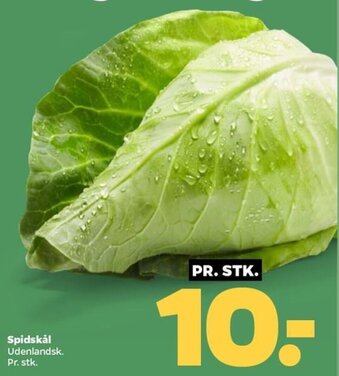 Netto Spidskål tilbud