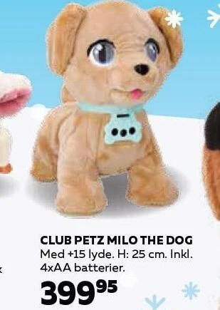 Club petz milo the dog