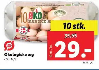 Økologiske æg