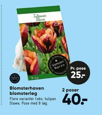 Bilka Blomsterhaven blomsterløg tilbud