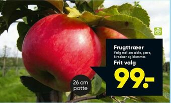 Bilka Frugttræer tilbud