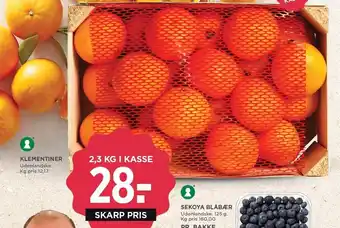 Klementiner
