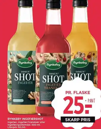 Rynkeby ingefærshot