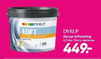 Bilka Dyrup loftmaling tilbud
