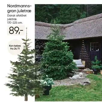 Bilka Nordmannsgran juletræ tilbud