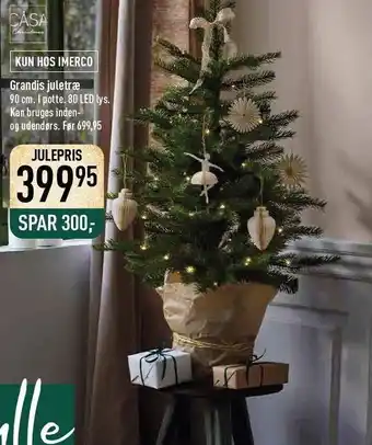 Grandis juletræ