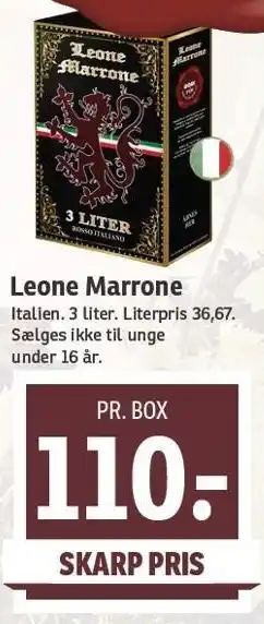 Leone marrone
