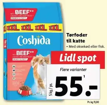 Tørfoder til katte