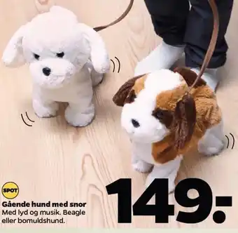 Netto Gående hund med snor tilbud