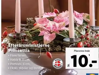 Lidl Efterårsministjerne princettia tilbud