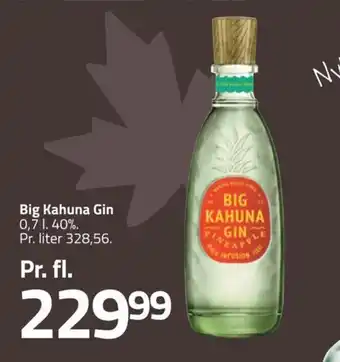 Big Kahuna Gin 0,7 L
