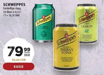 Scandinavian Park Schweppes tilbud
