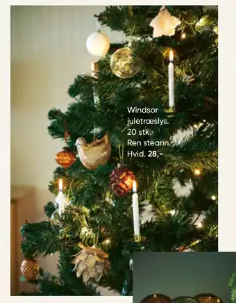 Bilka Windsor juletræslys tilbud
