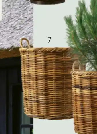 Bilka Fletkurv i natur tilbud