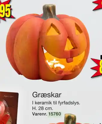 Harald Nyborg Græskar tilbud