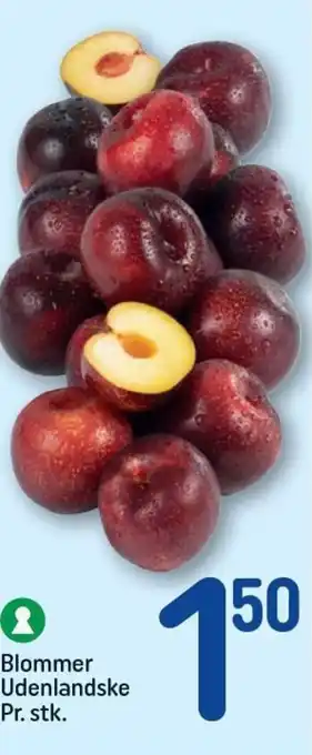 REMA 1000 Blommer Udenlandske Pr. stk. tilbud