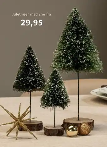 Juletræer med sne