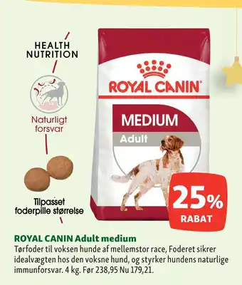 Maxi Zoo Royal canin adult medium tilbud