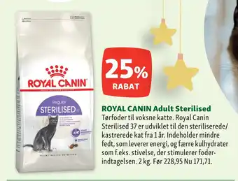 Maxi Zoo Royal canin adult sterilised tilbud