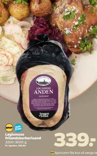 Netto Løgismose and tilbud