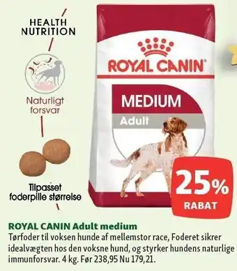 Maxi Zoo Royal canin adult medium tilbud