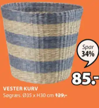 Ukendt urtepotteskjuler