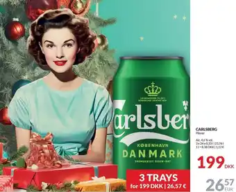 Nielsen's Discount Carlsberg pilsner - 3 trays tilbud