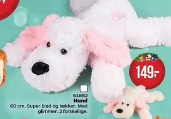 Hund