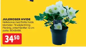 jem & fix Ukendt planter tilbud