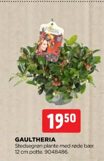 jem & fix Ukendt planter tilbud