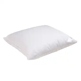 Clima temperaturregulerende hovedpude 60x63