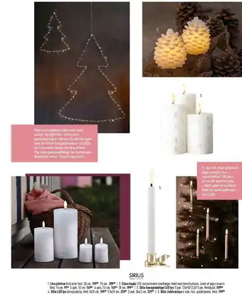 Liva juletræ, clara kogle, sille genopladelige led lys, sille led lys eller sille juletræslys