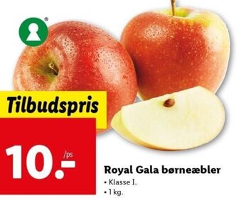 Royal Gala Børneæbler 1kg