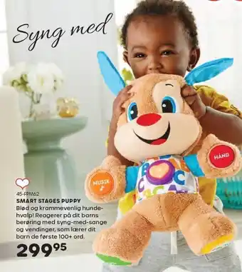 Smart stages puppy