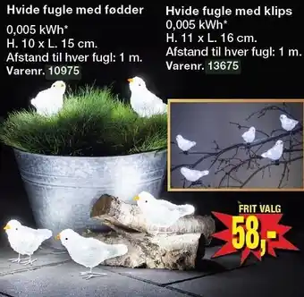 Harald Nyborg Hvide fugle med fødder eller hvide fugle med klips tilbud