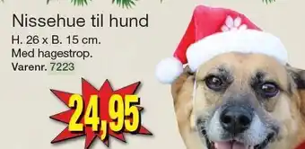 Harald Nyborg Nissehue til hund tilbud