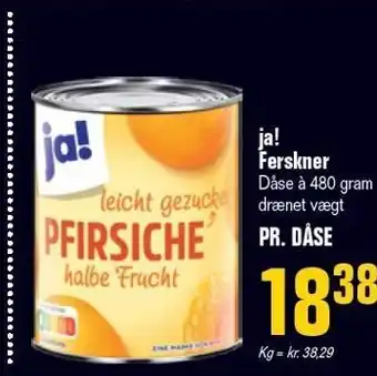 Poetzsch Padborg Ja! ferskner tilbud