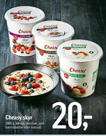 Cheasy skyr
