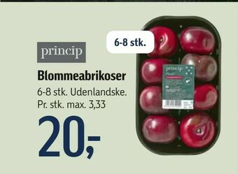 Blommeabrikoser