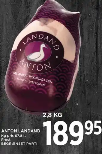 MENY Anton landand tilbud