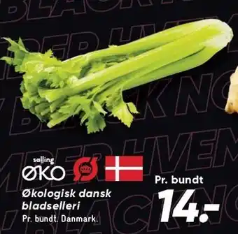 Bilka Økologisk dansk bladselleri tilbud
