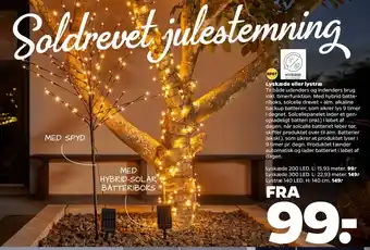 Netto Lyskæde eller lystræ tilbud